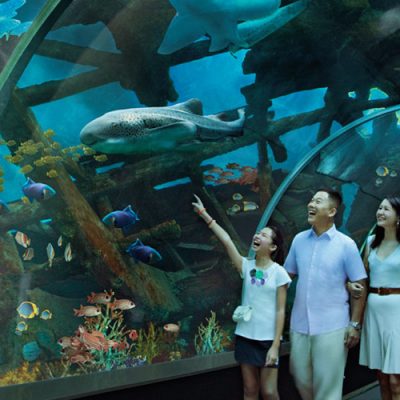aquarium family