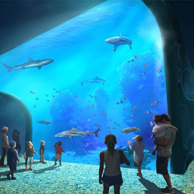 aquarium wall